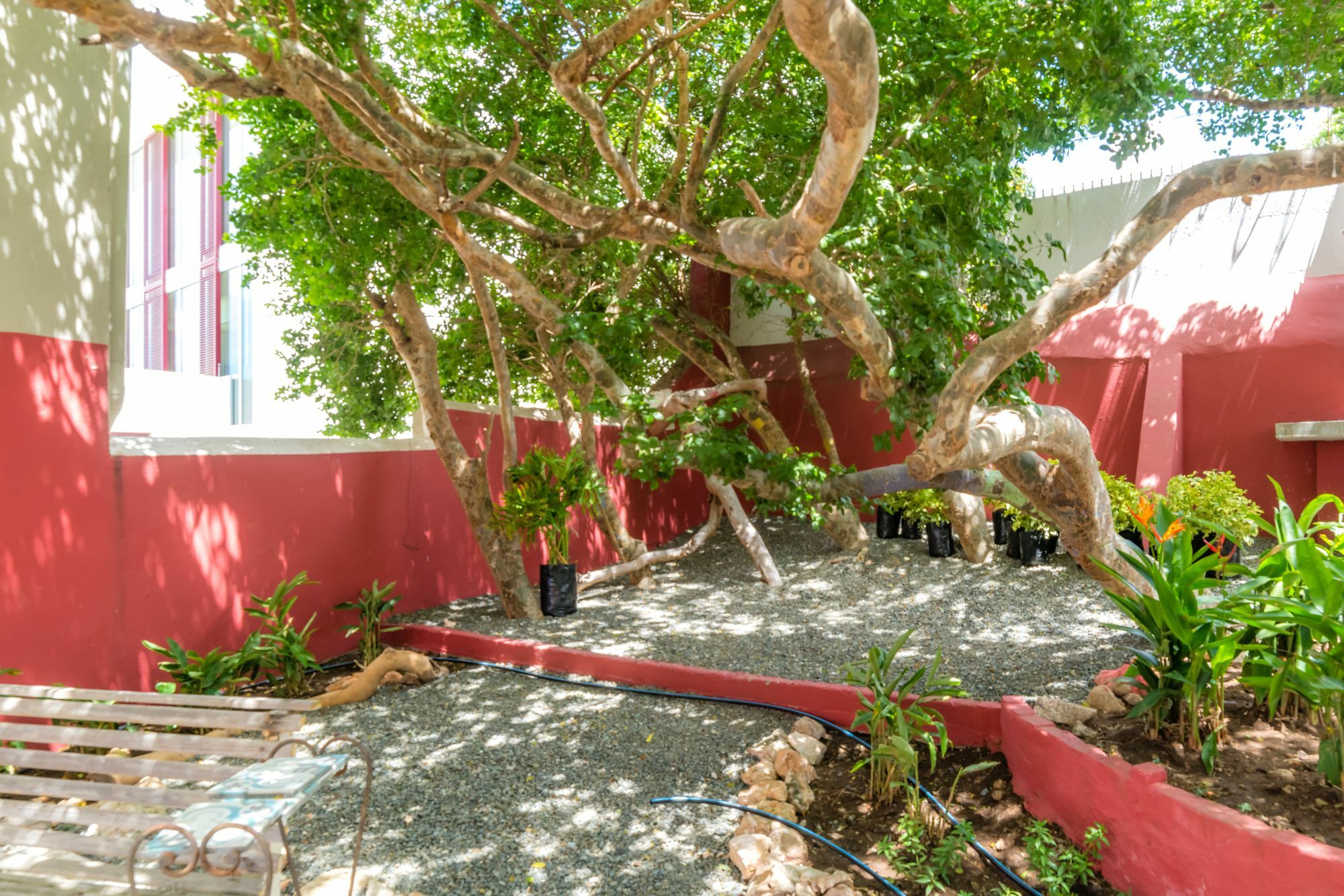 Bario Hotel Willemstad Luaran gambar